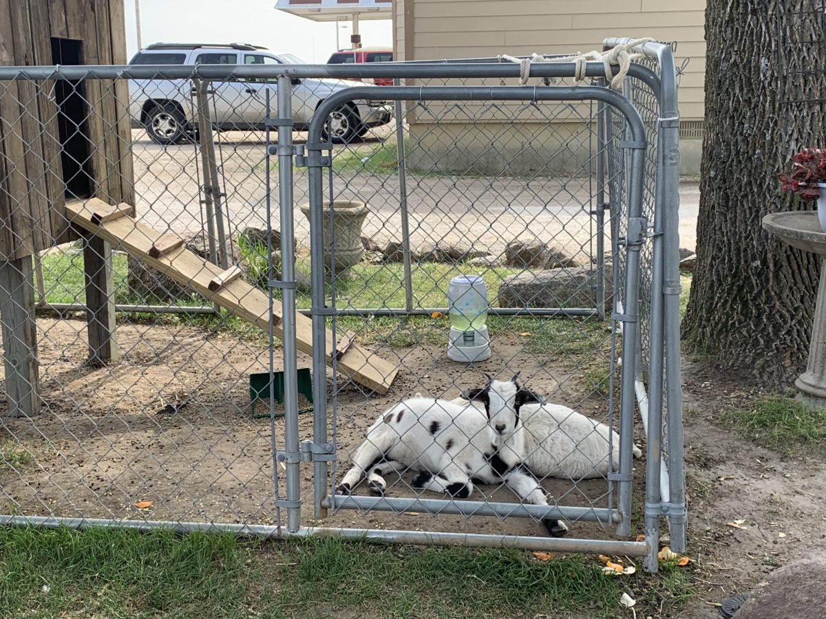 Camping Twin Anchors